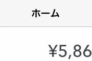 【画像あり】20代ワイの総資産がこちらｗｗｗｗｗｗｗｗｗ