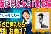 【2ch知識教養スレ】女性脳、男性脳を判断できる画像がこれｗｗ【ゆっくり解説】