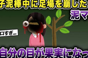 泥ママが柚子泥棒中足場を崩した→自分の目が飛び出て果実になった…【2chゆっくり解説】