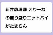 新井恵理那 えりーなの盛り盛りニットパイがたまらん！おっぱいアングルの横バストショット