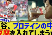 トーフ業界に朗報、大谷「プロテインシェーカーで豆腐を溶かして飲んでる」