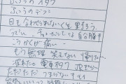 26歳婚活女性、婚活パーティで取ったメモ公開「ふつうのデブ」「電車オタク。JR嫌い」