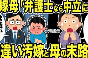 【2ch修羅場スレ】汚嫁母「弁護士なのに中立じゃない！俺くんの味方ばかり！」弁護士「常識が欠落していますね！」俺爆笑w勘違い不倫汚嫁と母親の末路www