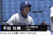 東大生「もしかして水槽の水にプロテイン溶かしたら金魚めっちゃマッチョになるんちゃうか・・・」