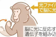 【朗報】サルの頭に光ファイバーを挿して人間が脳を操作しサルの手を動かすことに成功！