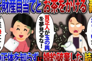 高学歴一族への結婚の挨拶で私を金目当てと決めつけお茶をぶっかけてきた婚約者の母「母子家庭の貧乏人が財産目当てか！？」婚約破棄後に私の正体を知った義両親の末路とは【2ch修羅場スレ・ゆっくり解説】