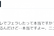 【顔画像】フェラしていた大学生を逮捕、釈放ｗｗ