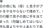 【悲報】母親さん「息子の首を少し締めただけで児童相談所に子ども保護された！返して！！」