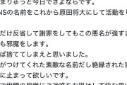 【悲報】「へずまりゅう」、逝く……