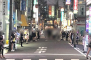 【画像】夜の秋葉原、童貞クンには刺激が強すぎる