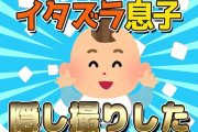 【2ch面白いスレ】1才のイタズラ息子を隠し撮りした結果が可愛すぎた【ゆっくり解説】