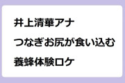 井上清華アナ　つなぎお尻が食い込む養蜂体験ロケ