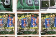 【悲報】「あおさ」が日本中で品薄になってしまう