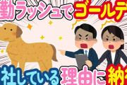【2ch ほのぼの】出勤ラッシュでかわいいシッポが…ゴールデンでは？出社している理由に納得した結果www