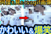 【2ch面白いgif】この人気急上昇中のおもしろgifを見てくれ！いつもありがとうございます【コメ付き】