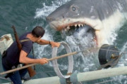 【画像あり】サメ映画、とうとうここまで来る