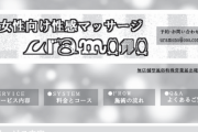 縦漫画・女性向け性感マッサージで「おちんちんをいれてもらえませんか？」