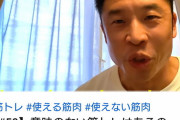 筋トレ系ユーチューバーの王。なかやまきんに君、小島瑠璃子へ反論動画を投稿