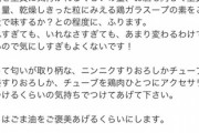 【画像】滝沢カレンの料理レシピクソワロタｗｗｗｗ