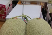 【画像】えっちなメロン売ってた