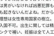 【悲報】フェミさん、頭がおかしくなりエロ同人みたいな国を作ろうとしてしまう