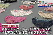 【画像】警察「下着泥棒を捕まえました！皆さんこの卑劣な犯行を見てください」
