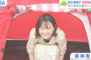 【画像】TBSの若林有子アナ、2回も胸チラしてしまう　※GIFあり