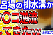 【2ch面白いスレ】風呂場の排水溝からウ〇コ逆流してきたｗｗｗ【ゆっくり解説】