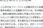 イスラム教「女は肌出しちゃダメです、出したら殺します」←こんなのが罷り通ってる理由
