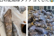 【えぇ…】上海「配給のタケノコだぞ(ﾄﾞｻｯ」市民「え、これ竹じゃん…」