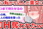 【2ch 面白いスレ 伝説】美女が家に凸してきた挙句、俺の初めてを奪いやがったｗｗｗｗ【2ch 笑える ゆっくり解説】