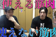 「使える筋肉」と「使えない筋肉」の違いｗｗｗｗｗｗｗｗｗｗｗｗ