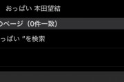 日本人のGoogle検索「お○ぱい」の第二キーワード、ガチで終わる