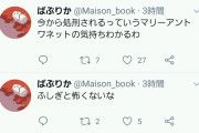 【訃報】メンヘラさん、ツイッターでしつこく自殺アピール連投の後電車に飛び込むｗｗｗ