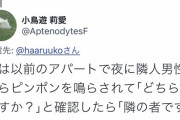 【悲報】合気道経験Twitterまんさんの武勇伝、ツッコミ所が多すぎるｗｗｗｗｗｗ