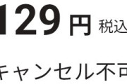 【謎報】ニンテンドーEショップにｴﾛそうなゲームがあるんだが……