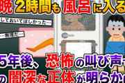2坪のバスルームをプレゼントした俺に嫁「1人でゆっくり入らせて」→5年間、俺に隠していた嫁の闇深い本性とは…【2ch修羅場スレ・ゆっくり解説】