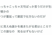 【悲報】RADWIMPS野田洋次郎さん、なんJやヤフコメを批判する曲を作ってしまう