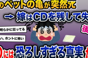 【伝説のスレ】嫁のペットの亀がﾀﾋんだ。俺「寿命だったんだよ」嫁「違うの！」→スレ民絶叫の真相が明らかに…【2ch修羅場スレ・ゆっくり解説】【後編】