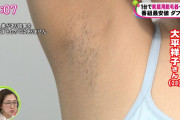 【画像】テレビで女さんのワキ毛のドアップｗｗｗｗｗｗ
