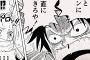 ルフィ「もっとジブンに、正直に生きろや！」「これでもう、仲間や」