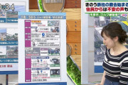 【画像】ひるおびの江藤愛アナ、ニット胸がでっけええええ