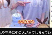 【画像】vtuber界隈ガチで終わるwwwwwwwww
