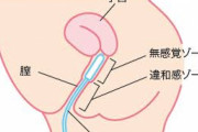 【画像】女の子のアソコ、全く感じないゾーンがあるらしい