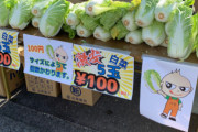 【悲報】白菜さんコロナのせいで5玉100円まで値下がりしてしまう…