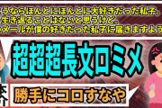 【1本】途中から内容が頭に入らないくらい長文怪文すぎるロミメ。【2chロミオメール】