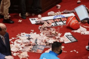 【画像あり】台湾議会、内臓が飛び交う大惨事