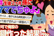 【2ch修羅場スレ】俺一家の鍵を無断でコピーし入り浸る俺母。生後2か月の孫に「ママでちゅよ！」→嫁激怒「お母さんはわたし！」→俺母「子供が混乱するから嫁は黙ってろ!!」【2ch面白】【ゆっくり解説】