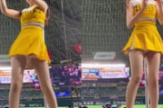 ソフトバンクのチア、白アンスコパンチラがエッチすぎる