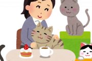 【絶望】猫カフェに男が1人で行ったらこうなるらしいｗｗｗｗｗ